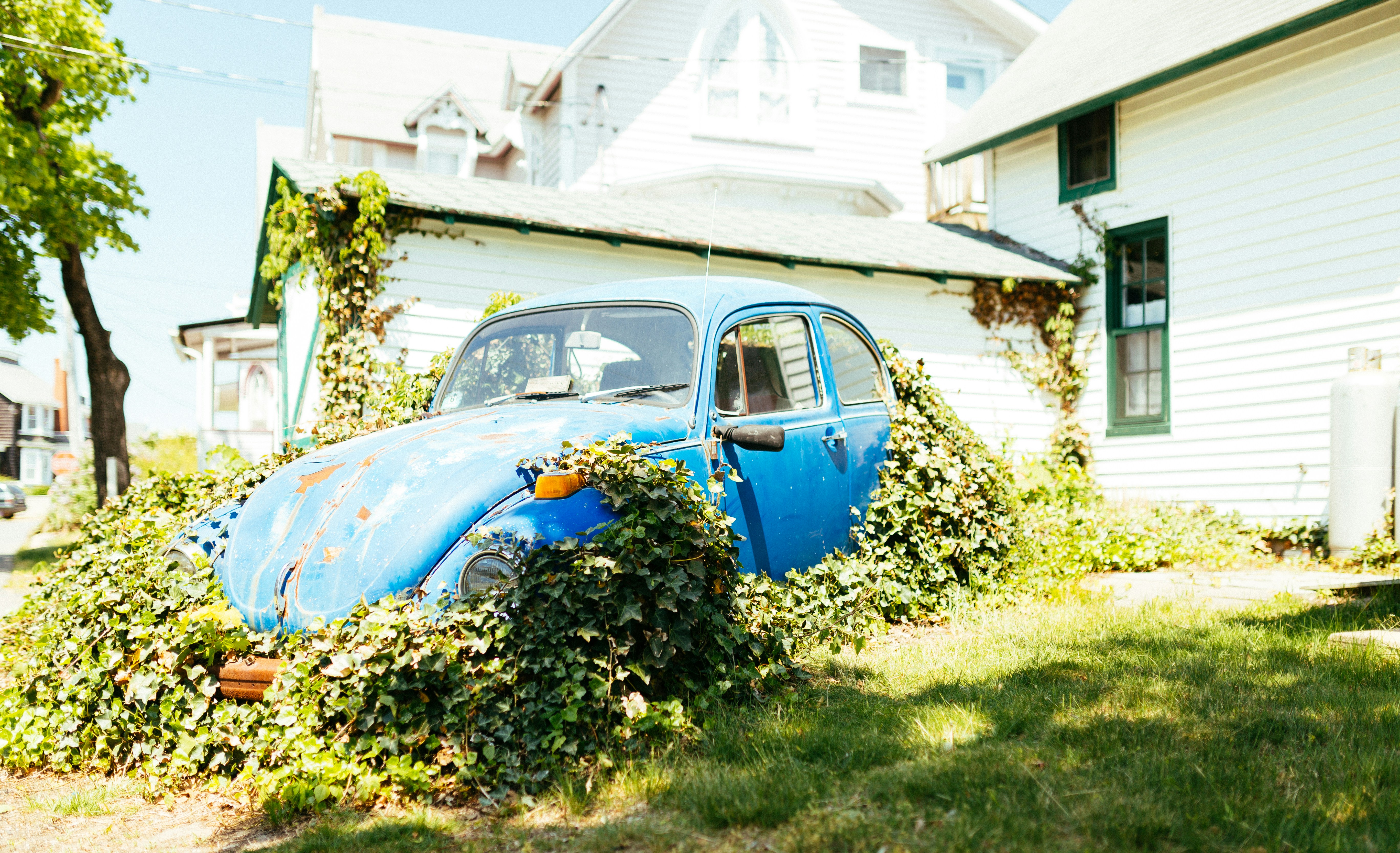 Car in Front Yard