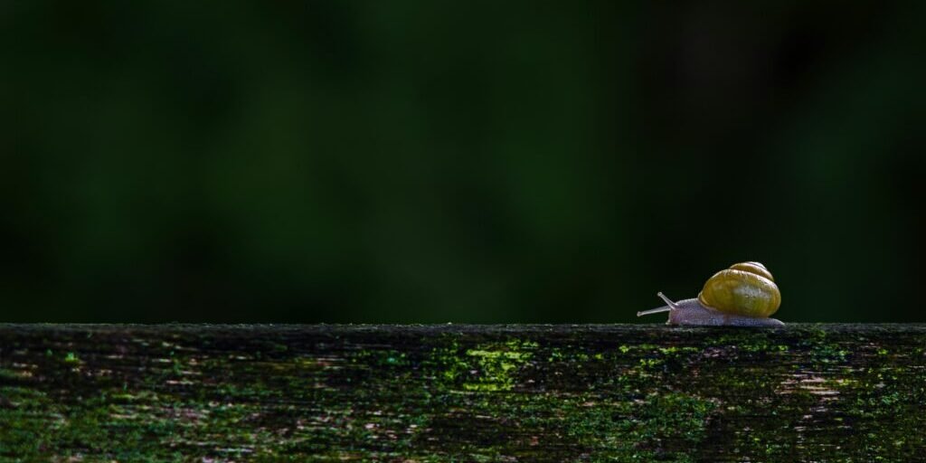 lucas-van-oort-R8O7xQmQSMw-unsplash lucas-van-oort-R8O7xQmQSMw-unsplash